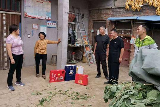 坟台镇最新新闻，友情与陪伴的温馨日常
