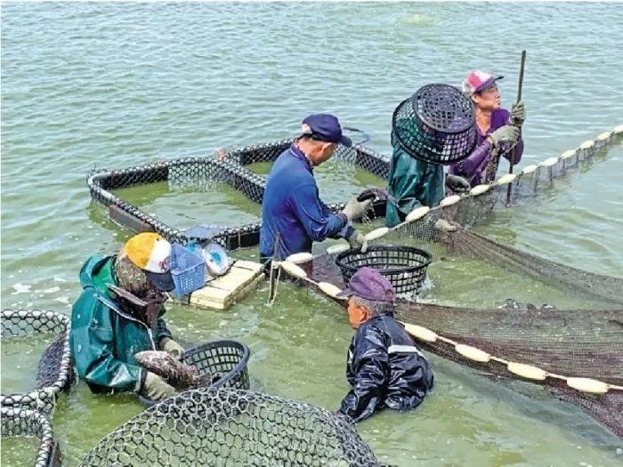 海关最新消息