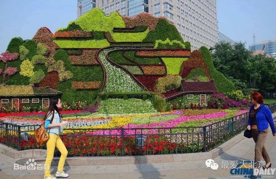 跑狗图玄机图最新揭秘，小巷深处的特色小店探秘之旅