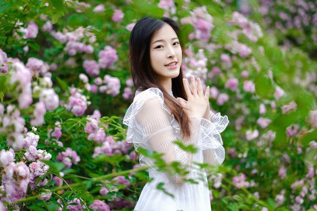 苹果手机最新回收报价，旧爱换新景，开启自然美景探索之旅