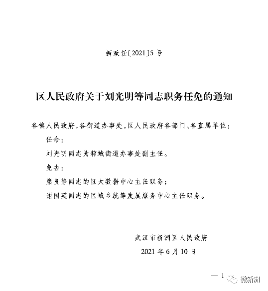 云南省政府最新人事任命揭晓，日常中的温馨故事启幕