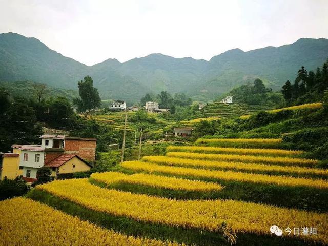 自然美景探索之旅 第10页