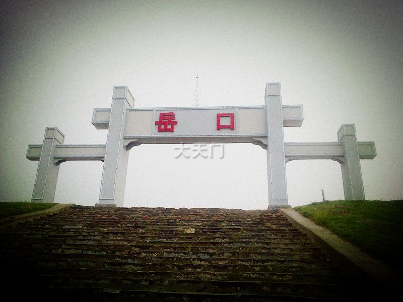 岳口最新深度报道，最新消息汇总