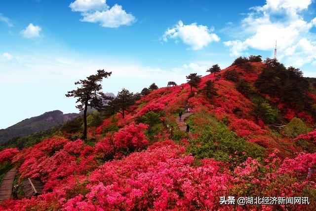 自然美景探索 第6页