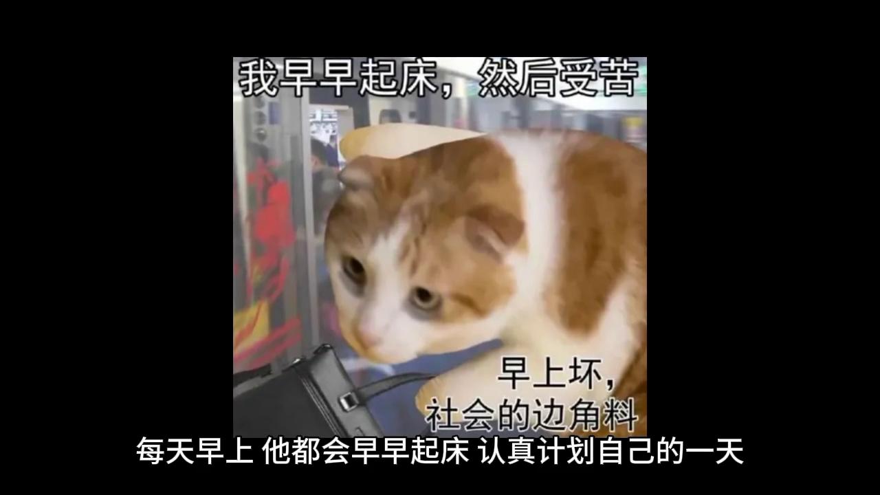 北京疫情最新动态，出京旅程连结小明的奇妙旅程与家的温暖纽带