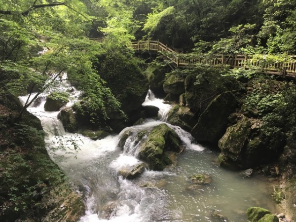 巴南最新一期，自然美景探索之旅