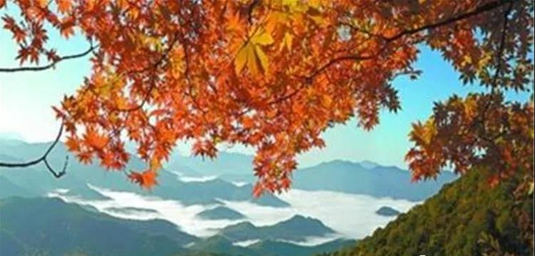 最新装修美宅，开启自然美景探索之旅