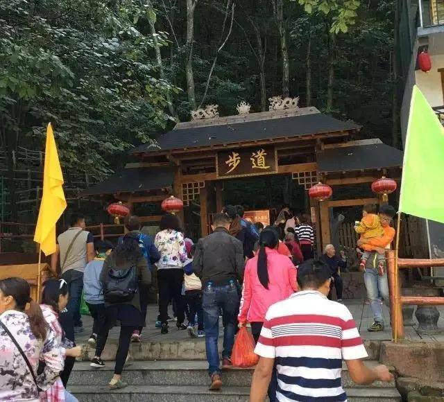 探索自然美景之旅，最新动态揭秘，寻找内心的平和之地——600216动态更新