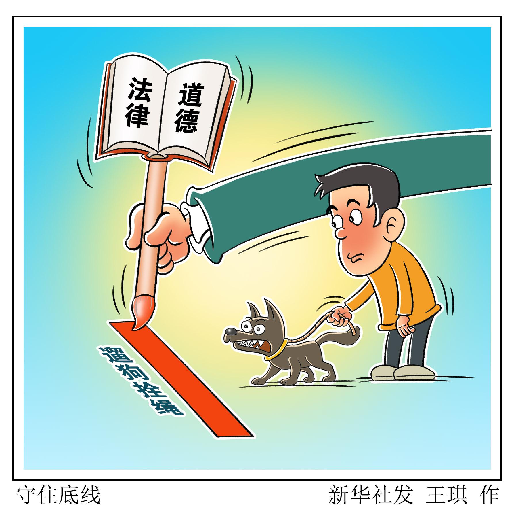 苏州最新油价详解，查询指南与理解步骤