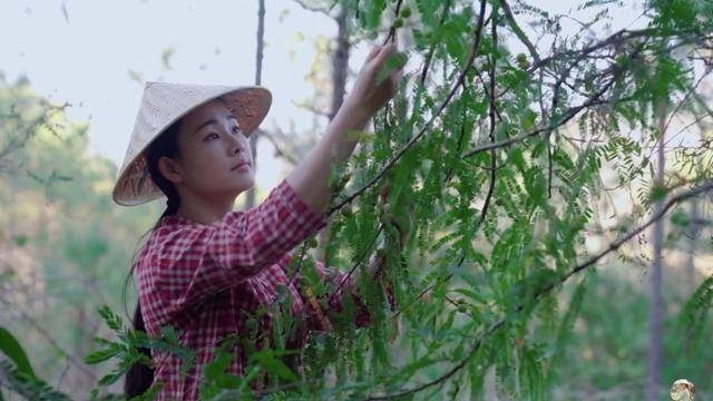 农民王小最新视频，自然美景探索之旅的治愈力量