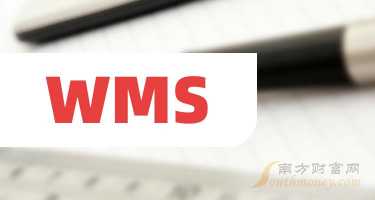 WSM最新聚焦要点深度解析