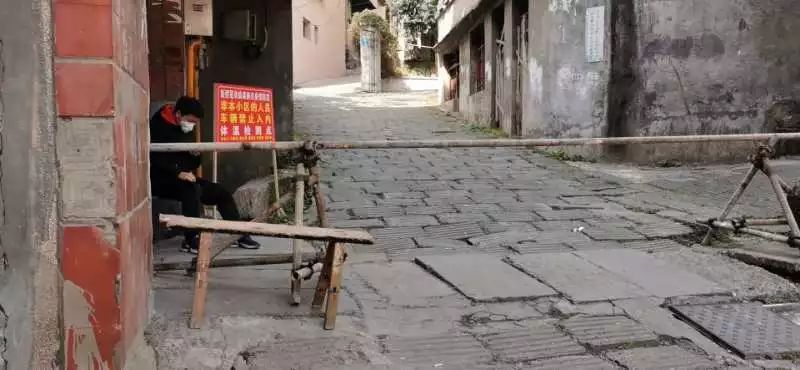 最新商标新闻，小巷深处的独特风味探秘