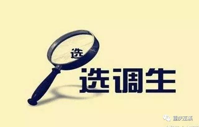 巫溪最新招聘信息汇总
