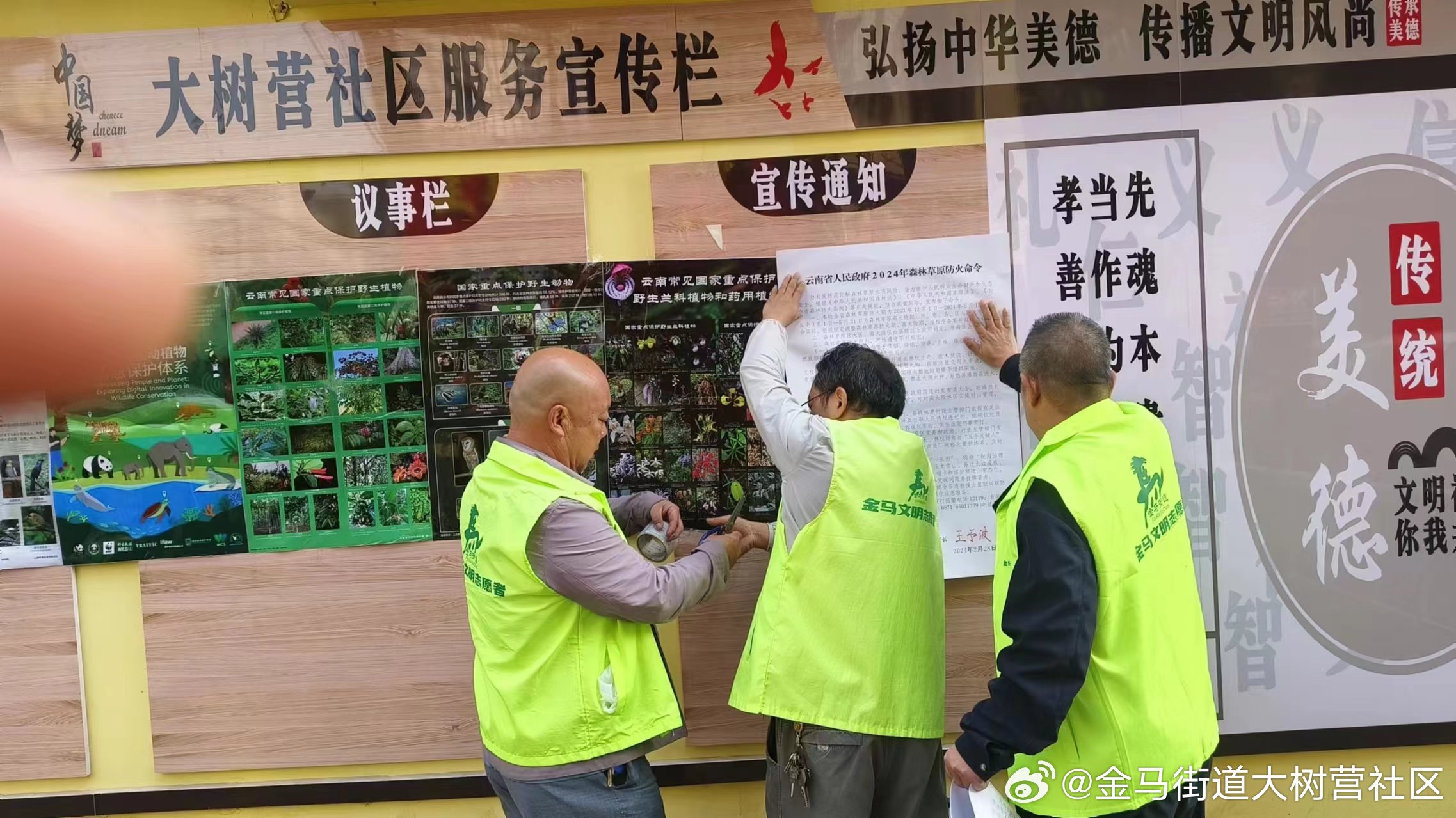 草遛社区最新动态，观点论述与深度解析