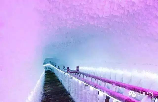 微博最新新闻，心灵之旅启程，探寻自然美景，寻觅内心宁静之道
