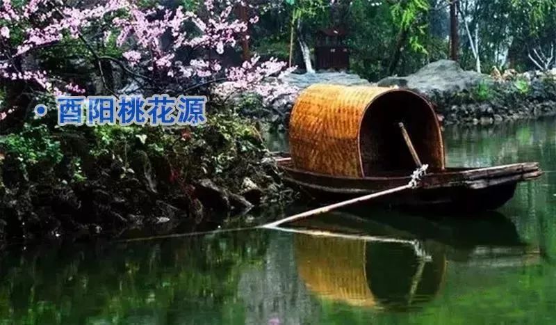 苏州最新油价与寻找内心平静的自然美景之旅