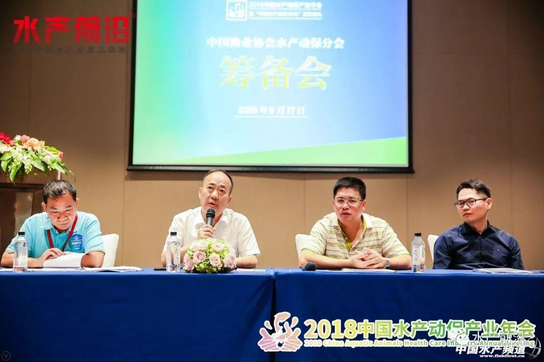 湛江新闻最新动态，自然美景探索之旅，寻找内心平和与宁静