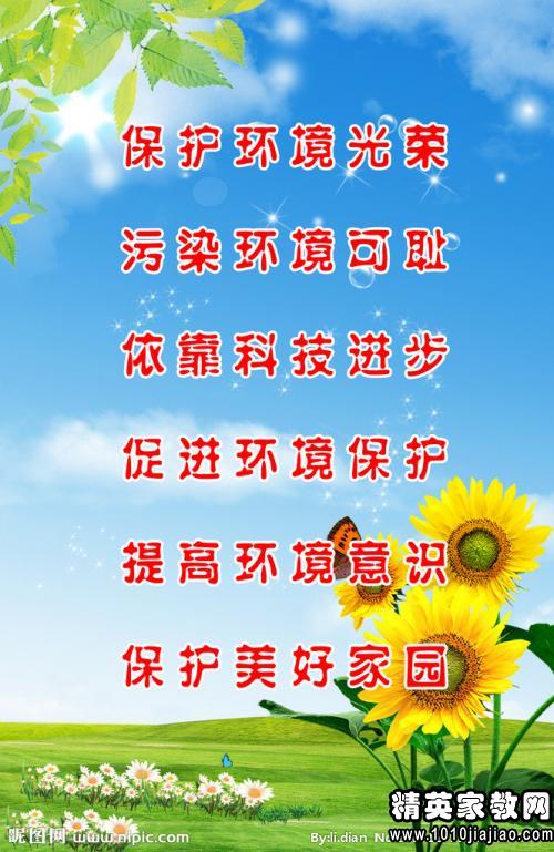 最新环保标语引领自然探索之旅，寻找内心的平和之地