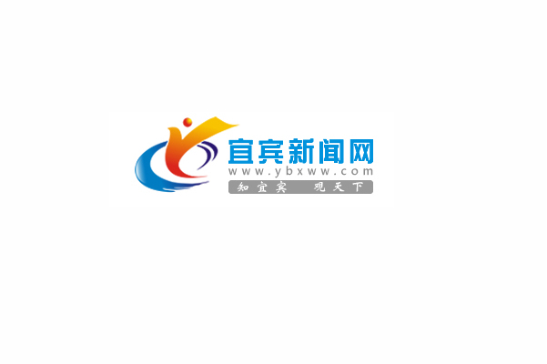 宜宾最新新闻获取与解读指南，初学者到进阶用户的必备教程