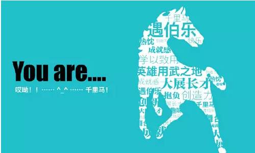 济宁最新招聘信息汇总，探索自然美景之旅助您寻找内心平和与宁静的港湾