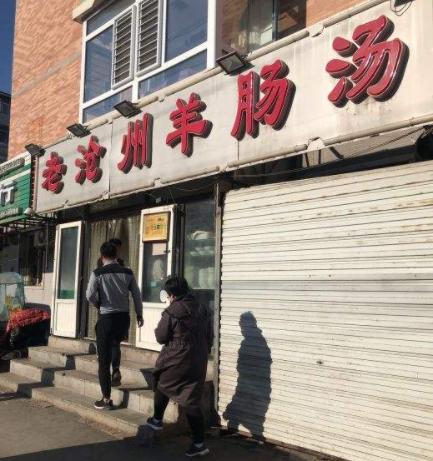 沧州玉米价格最新行情深度解析
