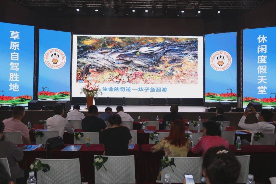 二氯甲烷最新报价，变化中的学习之旅，自信与成就感的源泉之道
