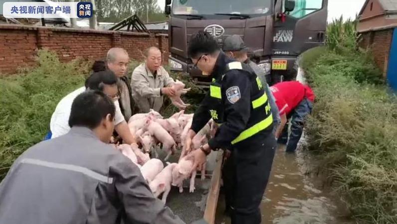 台风海神最新动态及应对准备安全指南（初学者与进阶用户通用）
