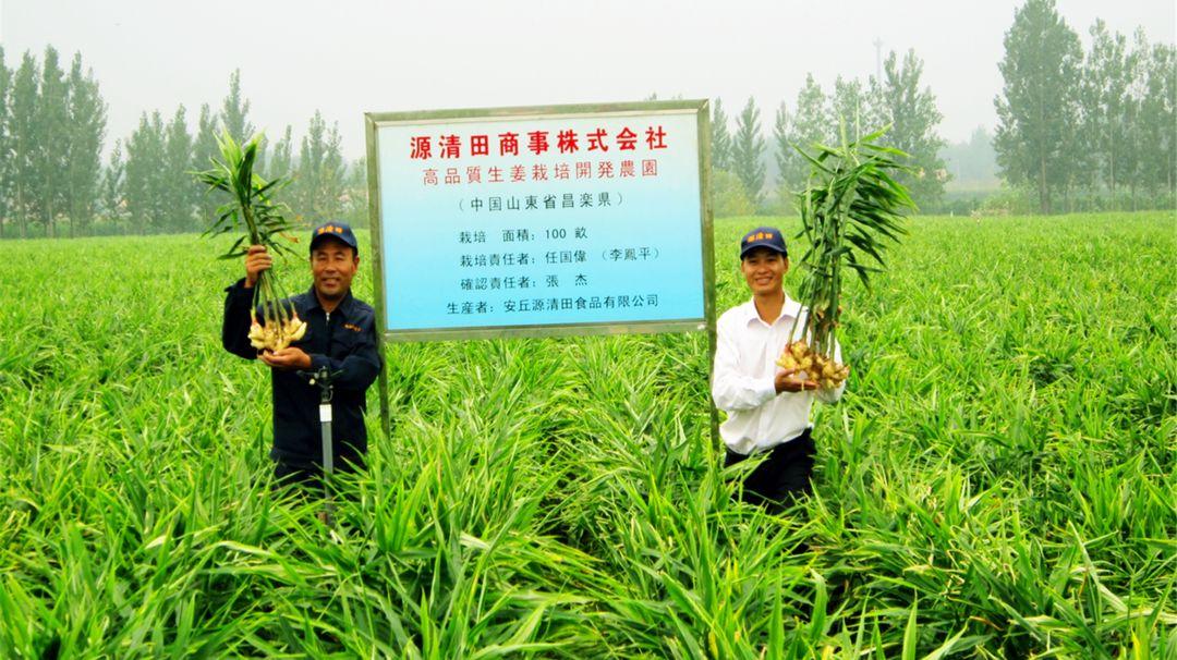 商丘LED显示屏维修 第139页