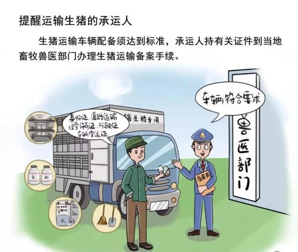 第258页
