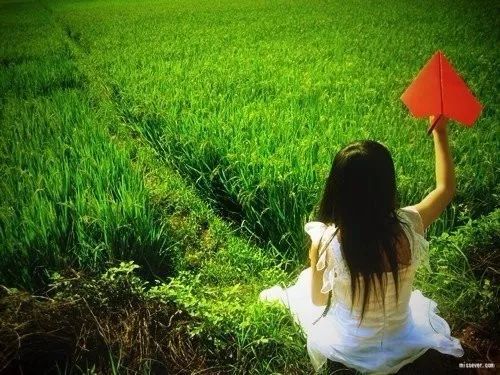 液晶拼接屏 第12页